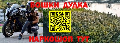 винт Кингисепп